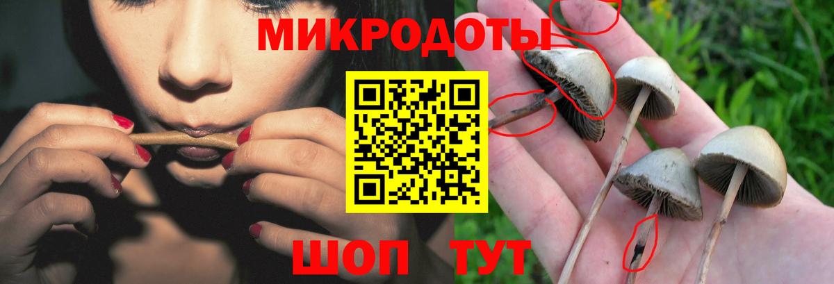 Сыктывкар  Галлюциногенные грибы мицелий  Вход с VPN  Галлюциногенные грибы Psilocybine cubensis 
